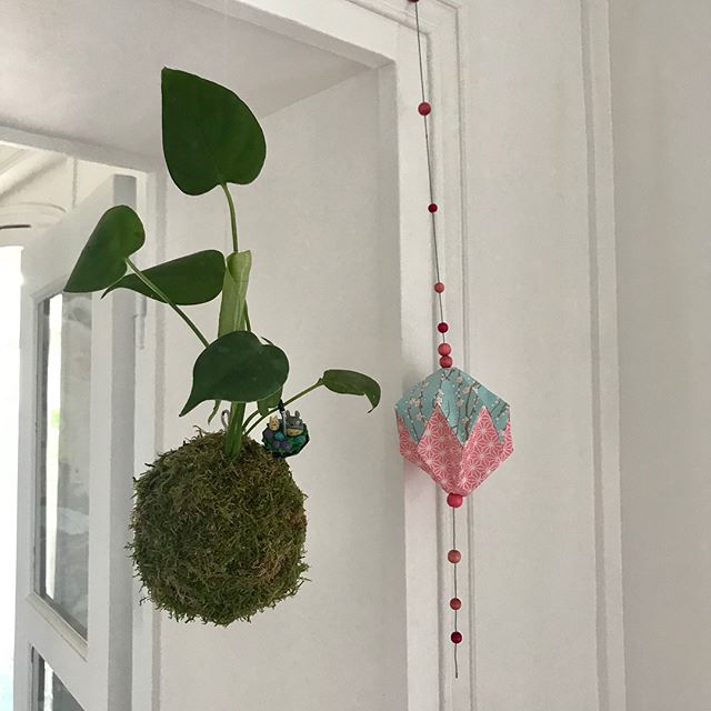 Mon kokedama a trouvé sa place, suspendu à côté de mon bureau. J’ai tellement aimé cette mise en pot originale que j’ai offert un kit fait maison à mon grand-frère dimanche pour son annif. Il a suivi mes conseils pour réaliser son kokedama ! Ca rend super bien :). #kokedama #ateliercreatif #createeveryday #ikebanart #urbanjungle