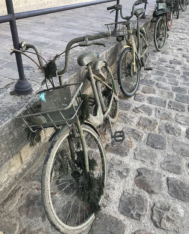 Vélos repêchés de la Seine. Je ne sais pas si ce sont ceux emportés par la crue ou si c’est le rythme classique des vélos qui se retrouvent à la baille... mais bon, quel gâchi ! #paris #seine #velo