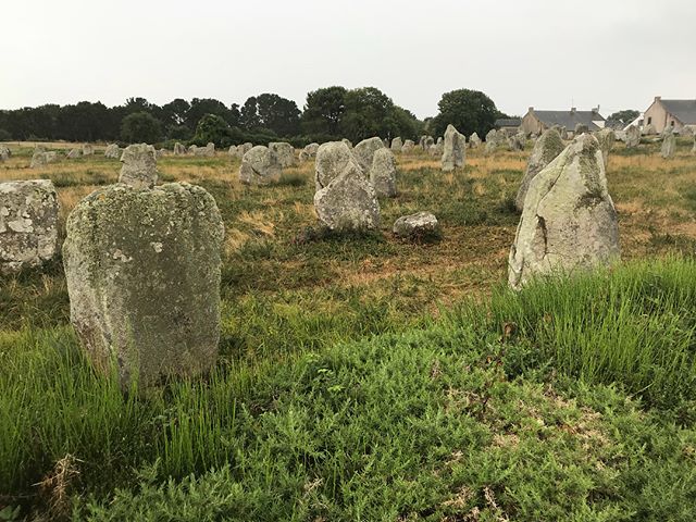 alignements de mégalithes à Carnac