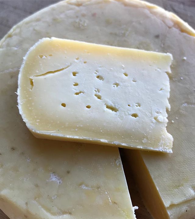 Ayé... le temps de la dégustation de ma tomme de vache est arrivé ! J’ai fait des photos pour profiter de la lumière mais j’attends ce soir pour tester en famille. Donc pas encore de commentaire sur son goût. Tout ce que je sais c’est qu’il sent bon et a une bonne bouille. Comme j’ai régulièrement des petits messages pour me demander où en est mon fromage maison, je vous prépare bientôt un article pour vous raconter le chemin pour en arriver là. Je suis hyper contente et reconnaissante d’avoir des copines assez barrées pour se lancer dans ce genre de projets :). #fromagemaison #fromage #homemadecheese #tommedevache #ciloubidouille