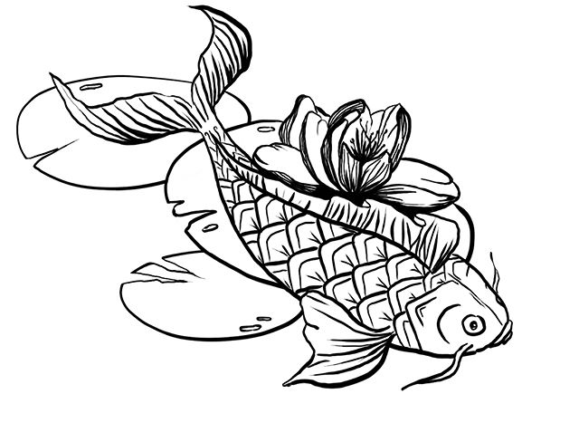 Une commande pour un futur tatouage. Ma cliente adorée se pose des questions. Couleur or not couleur ? Vous en dites quoi ? #koitattoo #carpekoi #koi #tatouage #dessin #illustration