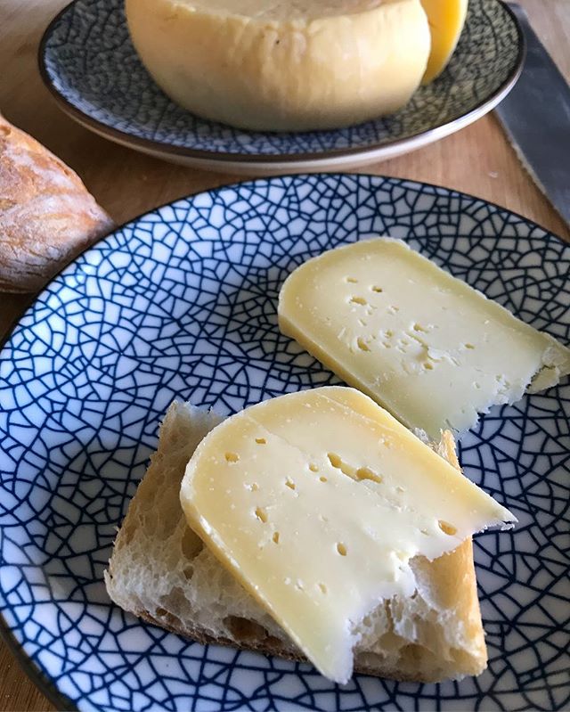 Si vous voulez des nouvelles de ma tomme de vache, l’article est sur le blog :) #homemadecheese #cheese #fromage #tomme