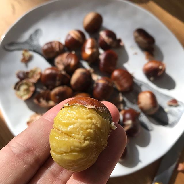 Plaisir de saison. Je suis une grande amatrice de chataignes. Celles-ci viennent de la forêt de derrière chez mes parents et ont été ramassées par mon père, qui a ses coins secrets pour trouver les plus belles (et pour les champignons). J’adore quand les plaisirs gourmandes retrouvent le chemin de l’enfance. Merci papa. #chataigne #automne #seasonfood