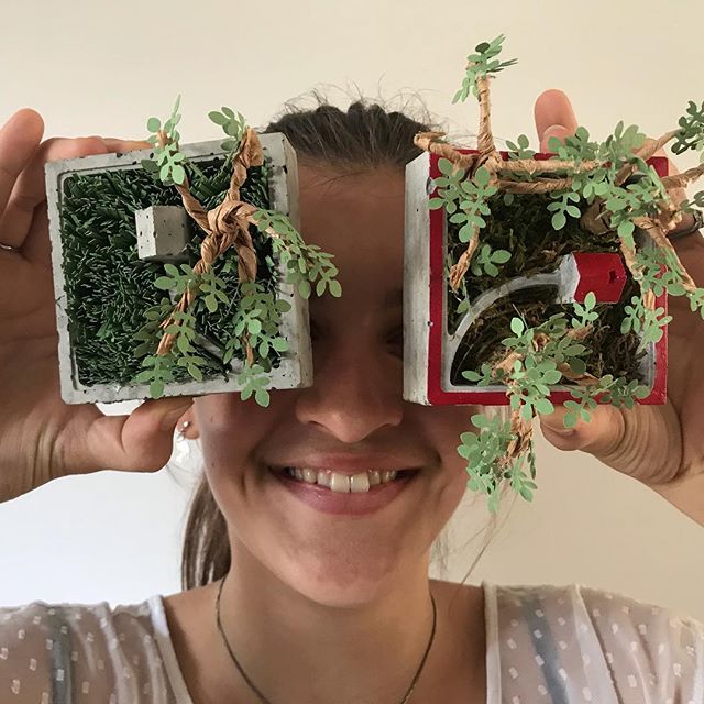 Je me professionnalise enfin ! Découvrez mes ateliers créatifs 1 atelier professionnel : minis jardins en béton