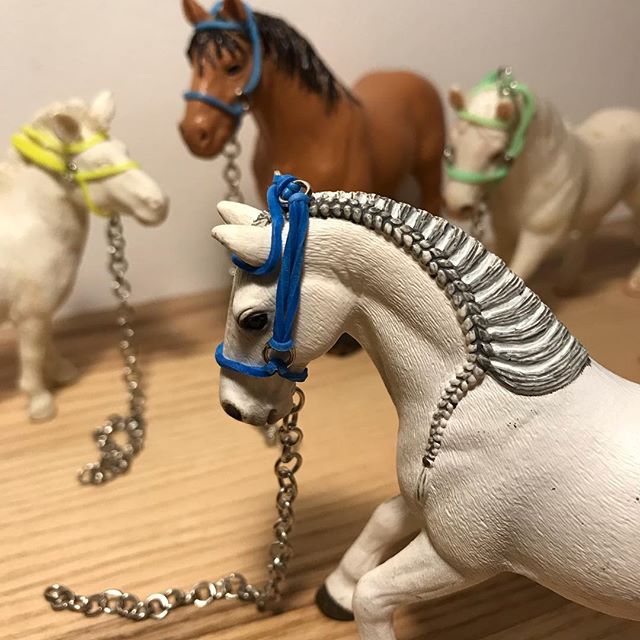 licol de cheval en élastique