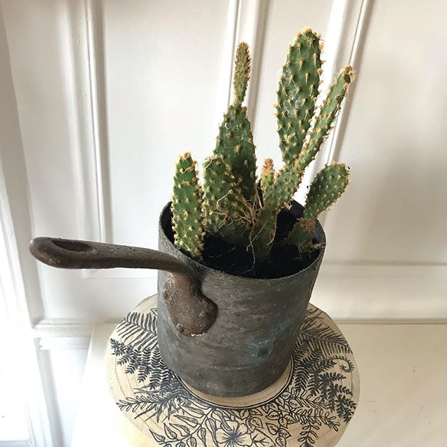 Upcycling : comment redonner vie à l'héritage de votre famille 2 idée de pots de fleurs originaux