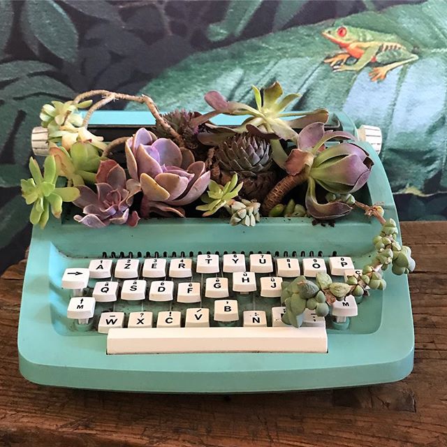Les jolis côtés d’internet... J’ai fait un appel aux dons de succulentes il y a une dizaine de jours et j’ai reçu celles-ci, qui avaient déjà une belle histoire (racontée par Fanny dans la lettre qui accompagnait le colis). Aussitôt reçues, aussitôt plantées ! Et voilà la machine à écrire dénichée via le market de Facebook qui sert désormais de pot de fleurs ! Je suis super contente du résultat et maintenant je potasse pour être la reine de la succulente ^^ ! Des conseils ? #succulents #urbanjungle #succulent #plantegrasse #upcycling #greenery