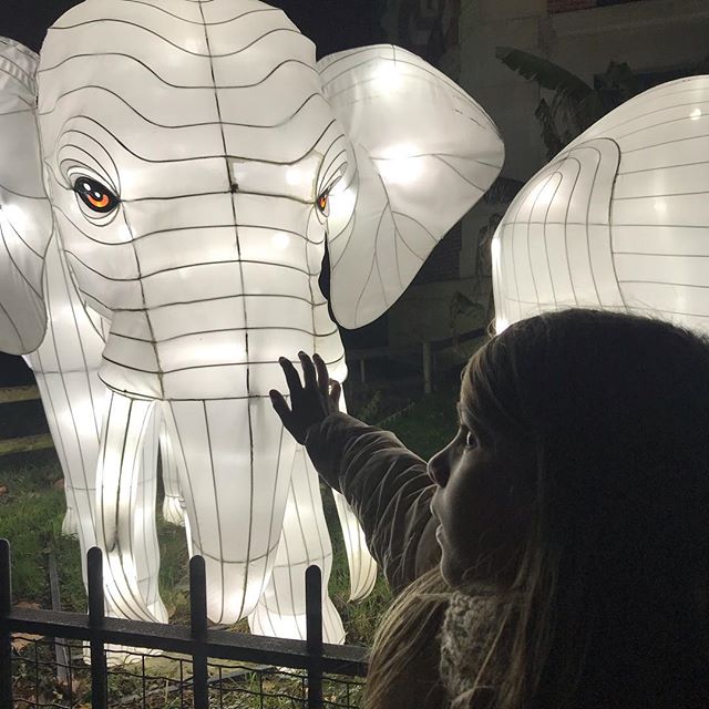 Jardin des plantes en famille : expositions lumineuses 1 Elephant expositions lumineuses au Jardin des Plantes