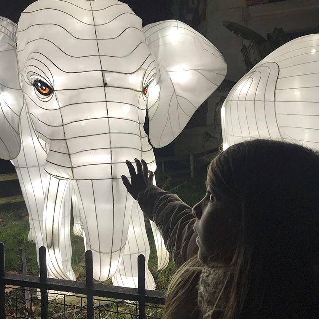 Elephant expositions lumineuses au Jardin des Plantes