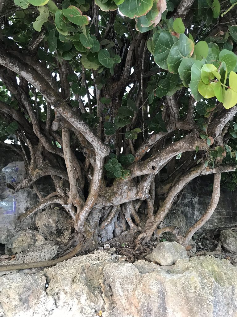 Voyage en Guadeloupe plage du gosier