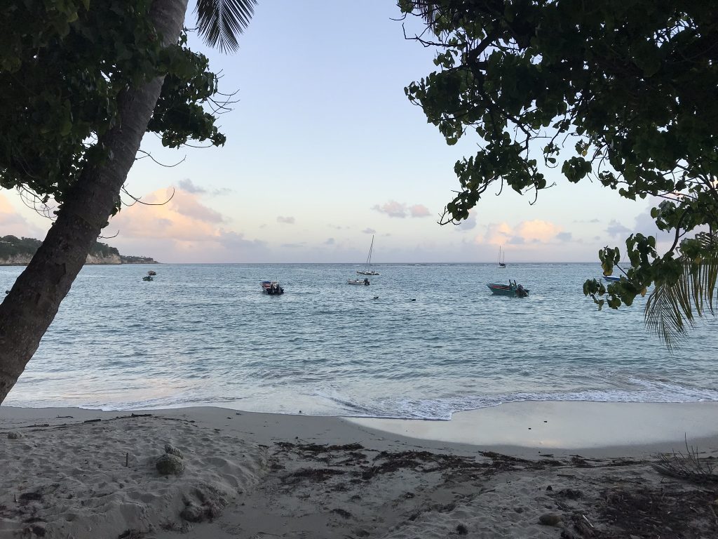 Voyage en Guadeloupe 12 IMG 1311