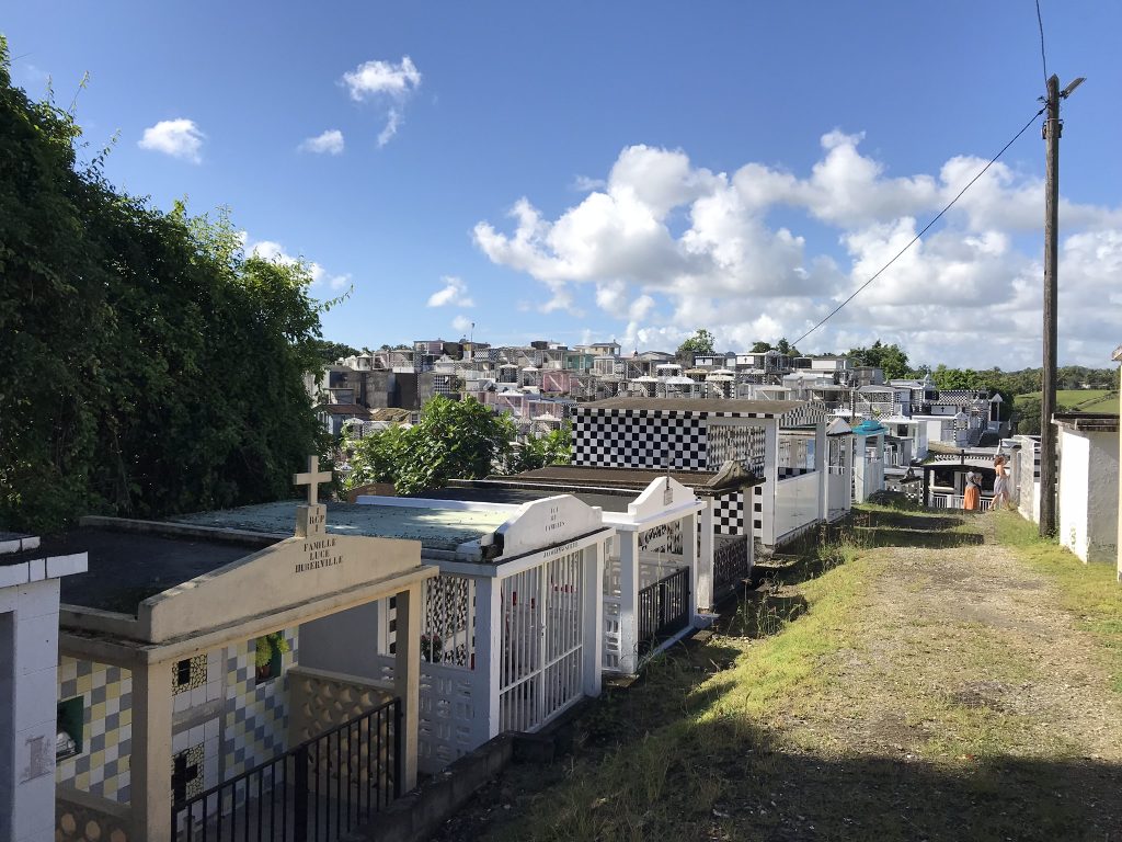 Voyage en Guadeloupe 19 IMG 1343