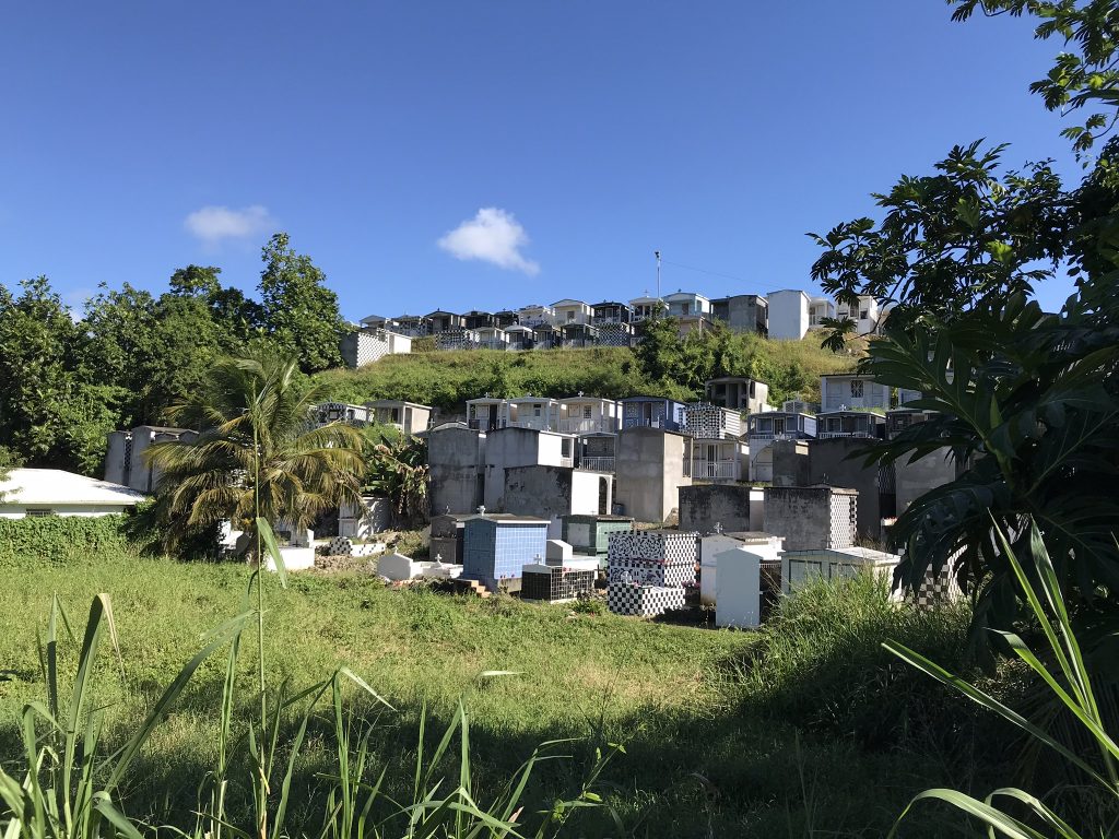 Voyage en Guadeloupe 23 IMG 1358