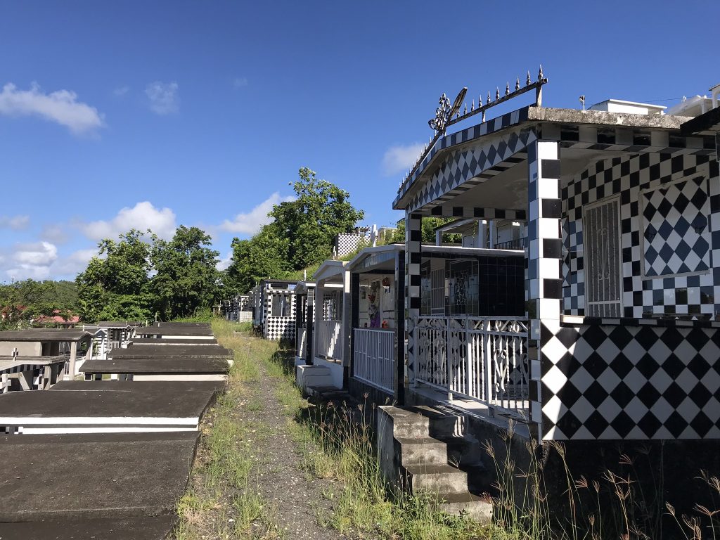 Voyage en Guadeloupe 20 IMG 1362
