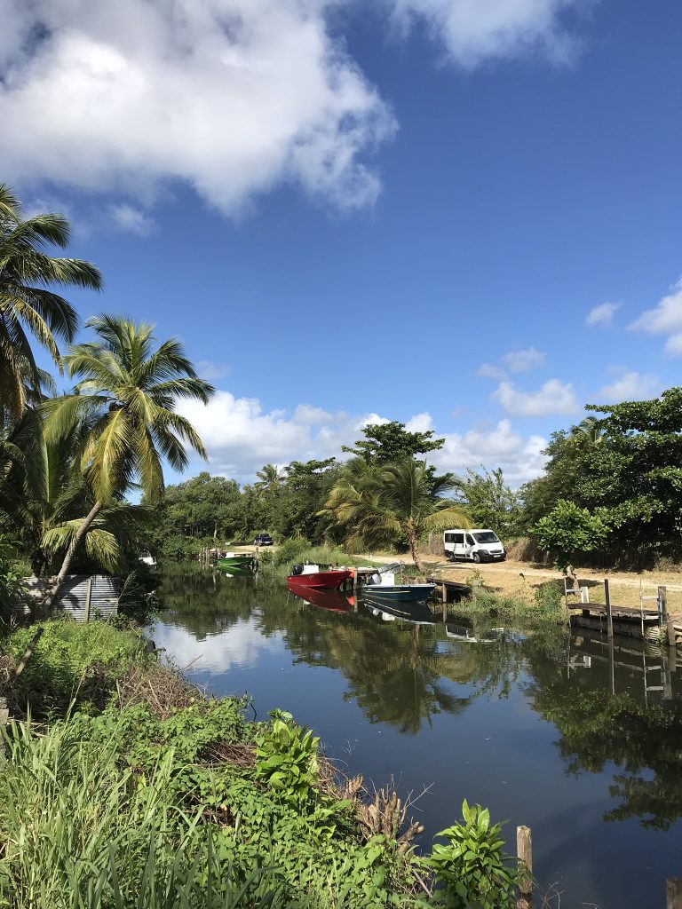 Voyage en Guadeloupe 24 IMG 1370