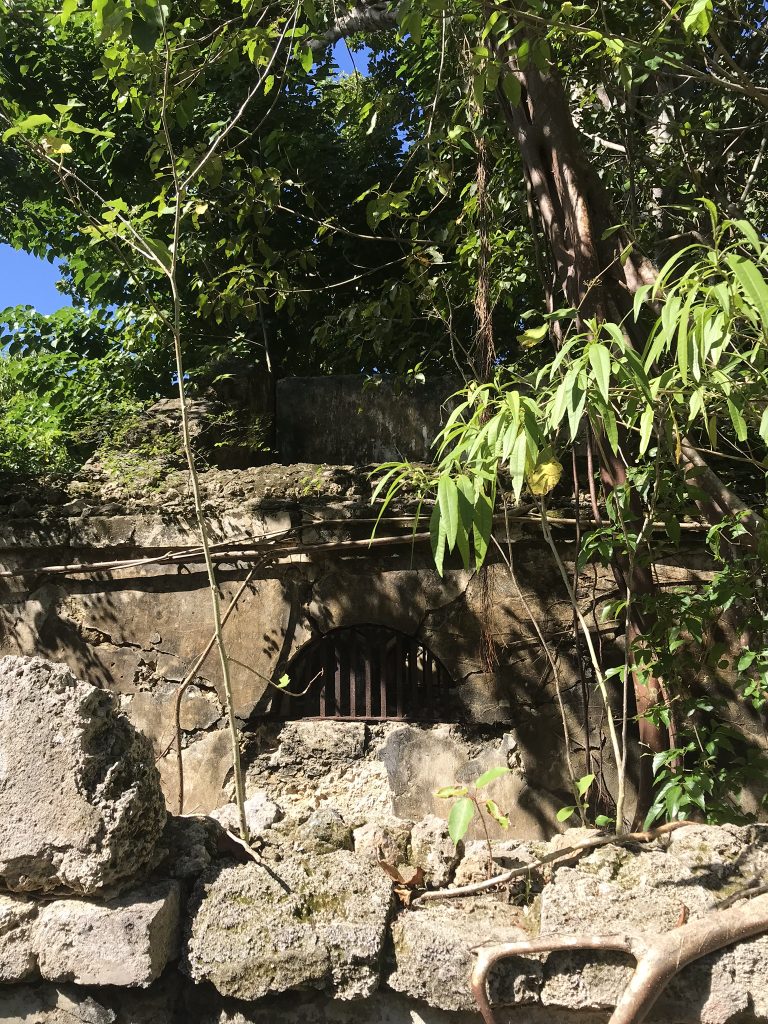Voyage en Guadeloupe 26 IMG 1390