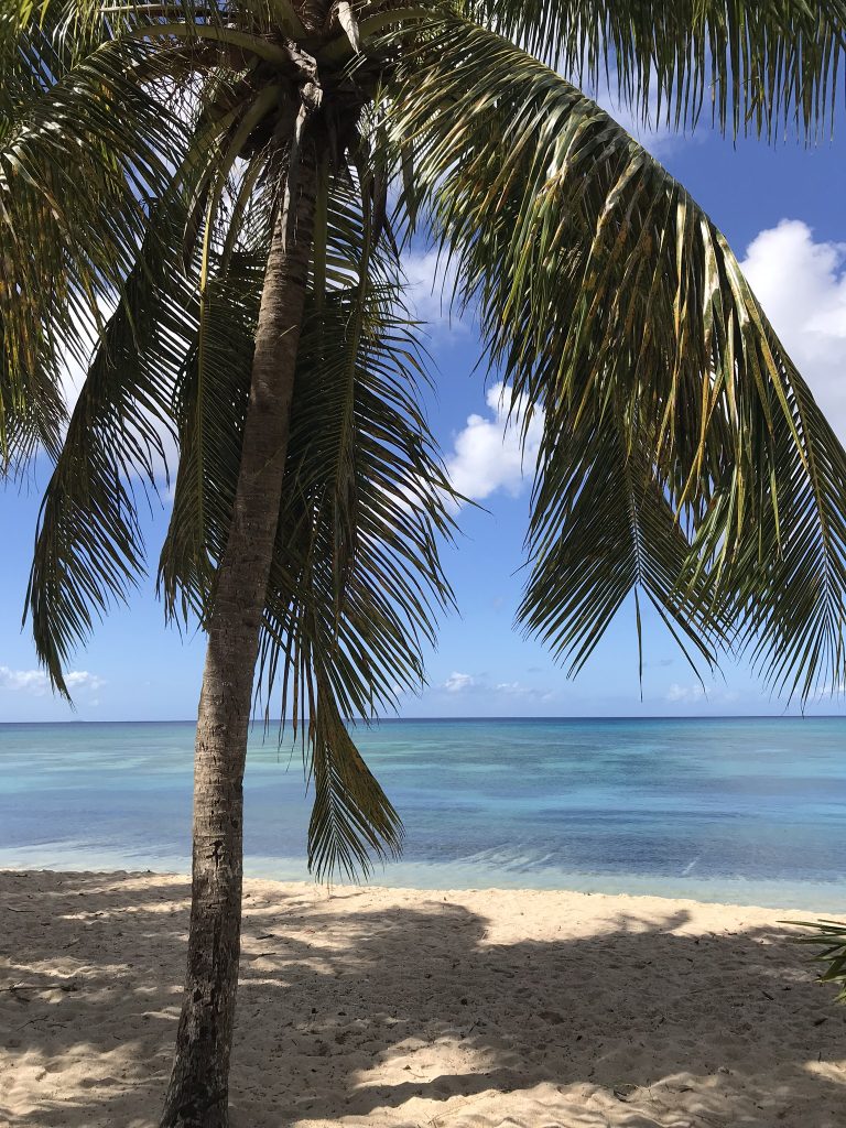 plage de rêve guadeloupe