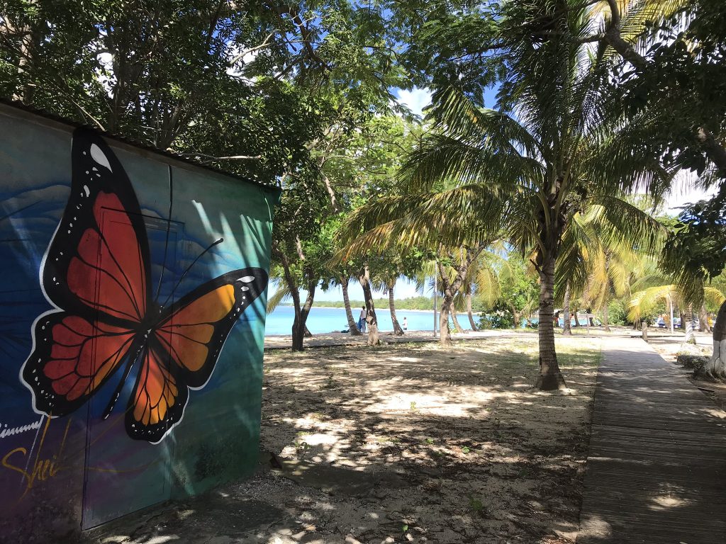 Voyage en Guadeloupe 33 IMG 1422