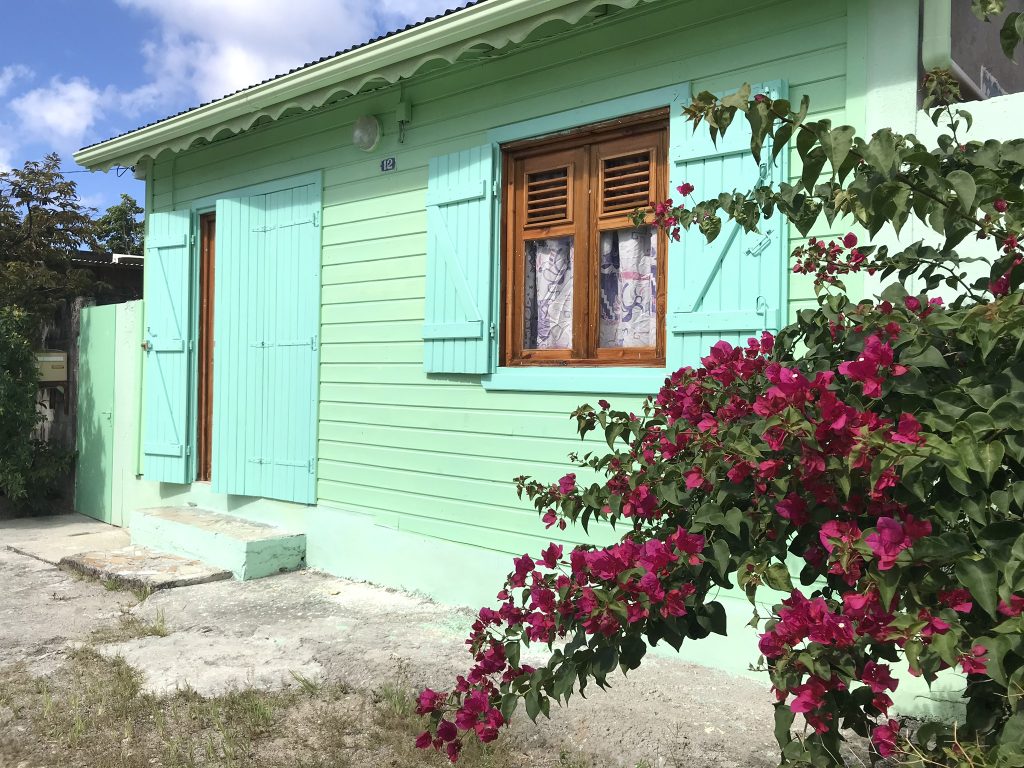 Voyage en Guadeloupe 34 IMG 1439