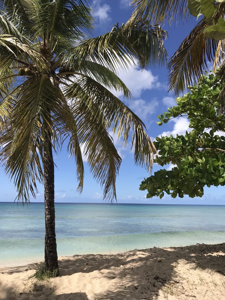 la plage du souffleur, une plage de rêve en Guadeloupe