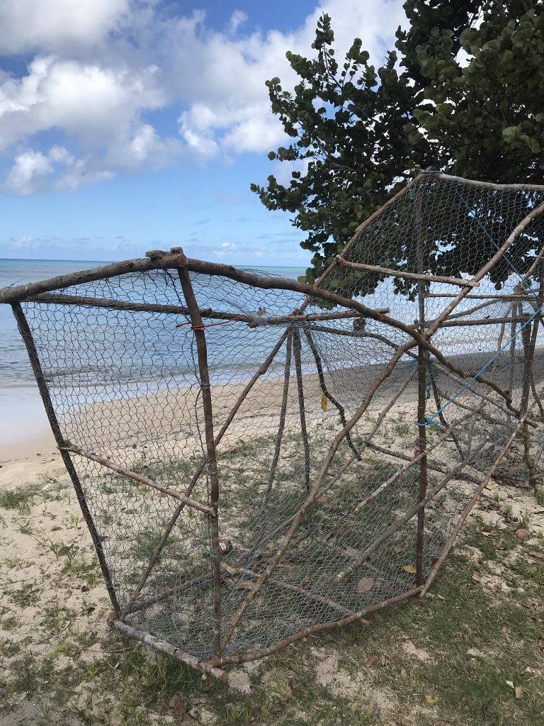 Voyage en Guadeloupe 32 IMG 1444