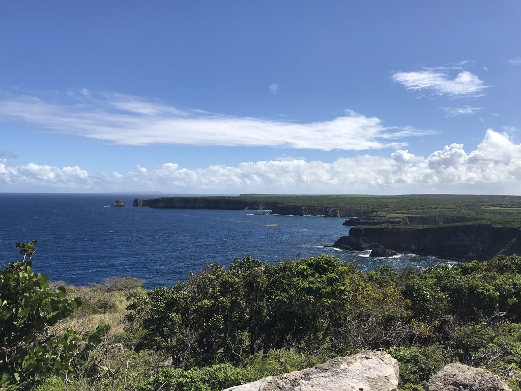 Les falaises de la pointe de la grande vigie