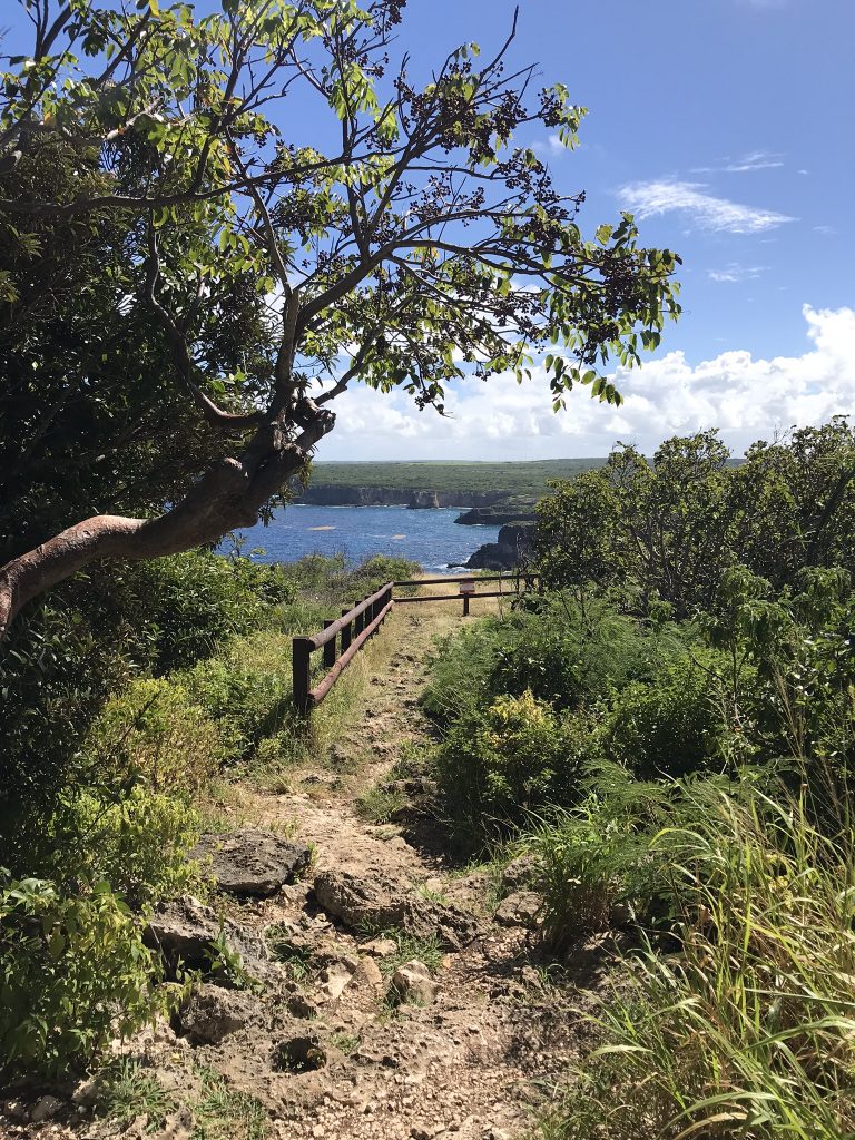 Pointe de la grande vigie randonnée en Guadeloupe