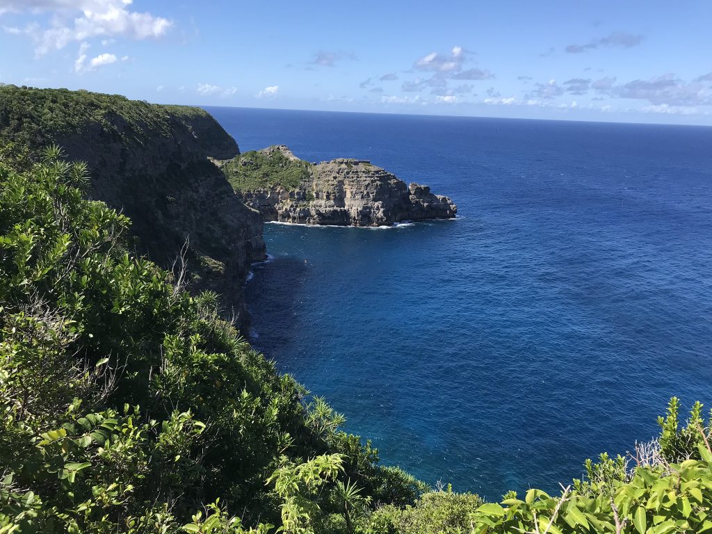 Pointe de la grande vigie rocher de l'iguane