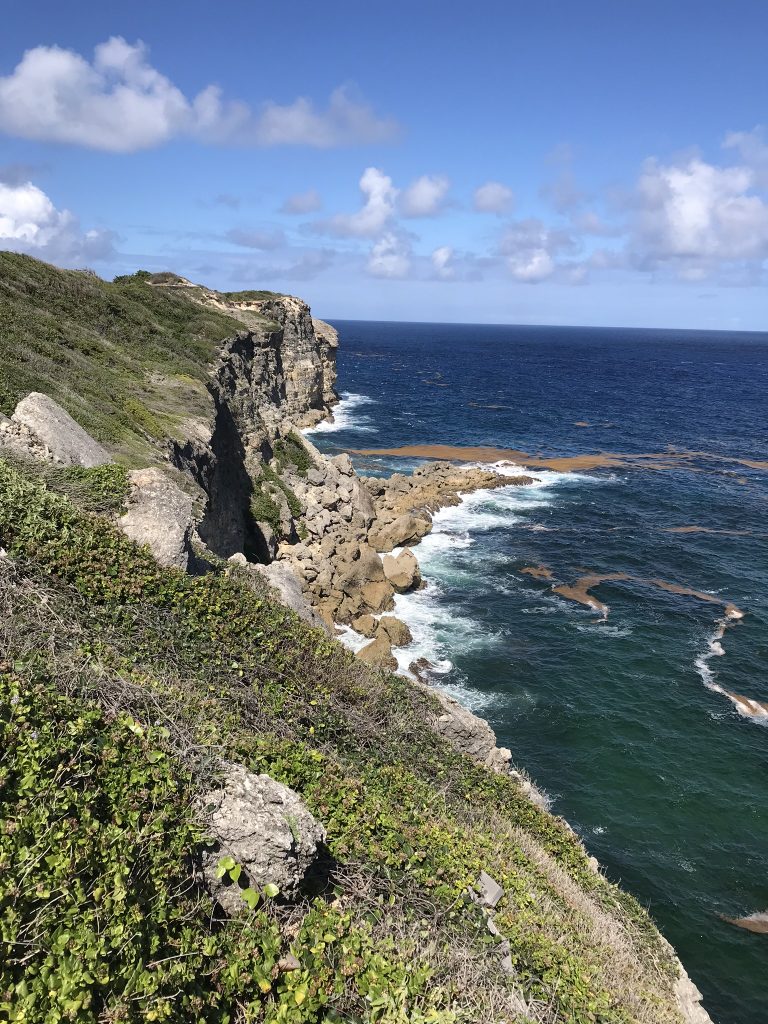 Voyage en Guadeloupe 40 IMG 1466