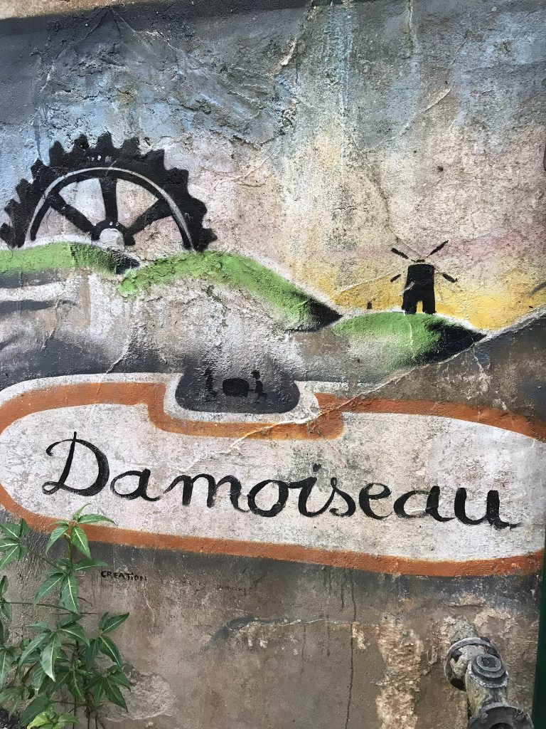 visite de la distillerie Damoiseau en Guadeloupe