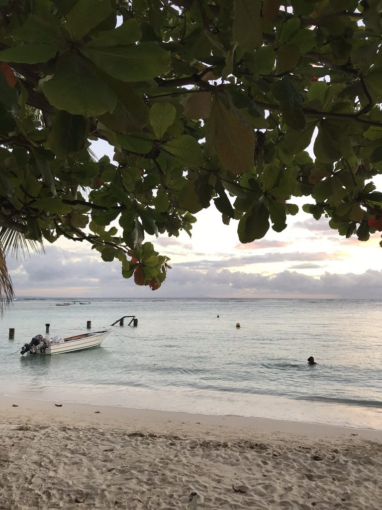 Voyage en Guadeloupe 66 IMG 1527