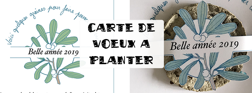 🌱Carte à planter Meilleurs Voeux - Carte à Pousser