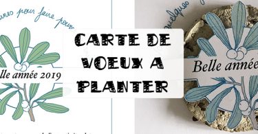 carte de voeux à planter 2