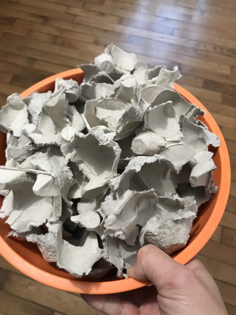 boite d'oeuf pour pâte papier mâché