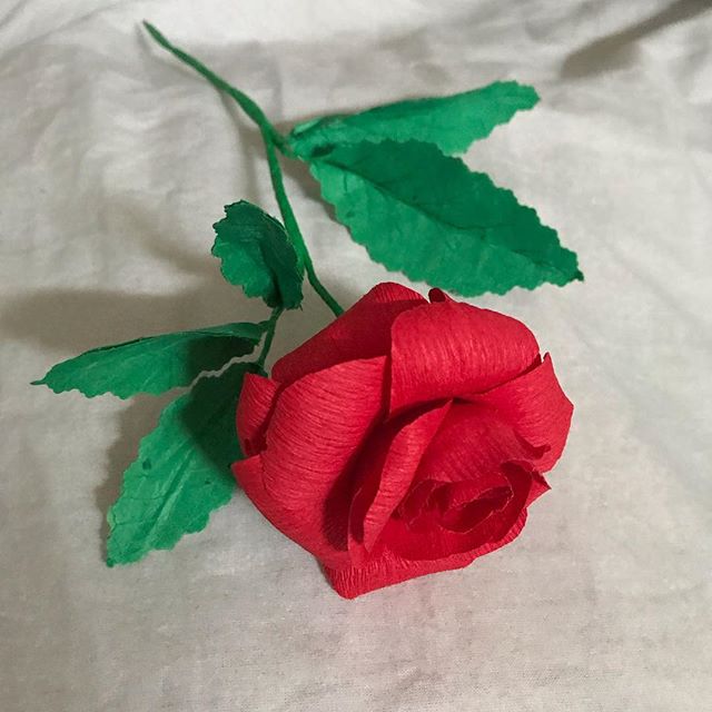 J’ai fabriqué cette rose pour la Saint-Valentin de mon amoureux. Comme je suis loin, je l’ai déposée sur le lit avant de partir. J’aime vraiment ce type de bricolage découvert grâce à @doreminoemi :). Belle journée à tous. Ici, le temps est bon :). #saintvalentin #valentineday #paperart #paperflower #paperroses #fleurenpapier #maviecreative #ciloubidouille