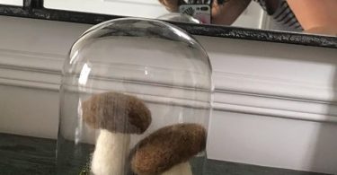 champignon en laine cardéee