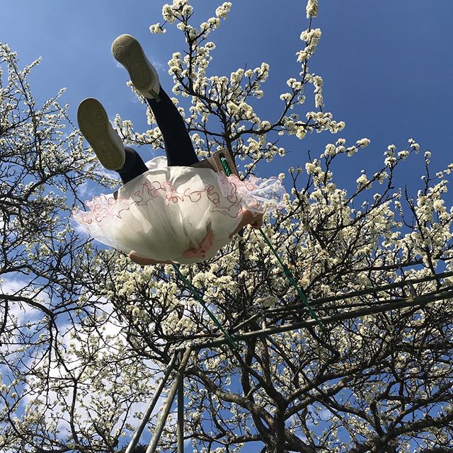 Dans le jardin de mon père, si joli, si malin, si joyeux et coloré... Je sais qu’on jardine son terrain avec patience, comme on s’applique à vivre au mieux sa vie. Et je sais aussi la joie de cette lenteur, de l’espoir heureux qu’on met dans chaque graine. Alors quand je regarde mon propre jardin, si pauvre, je me surprends à penser que cet hâvre de paix est à ma portée. Faut que je me bouge mais ça vaut la peine non ?