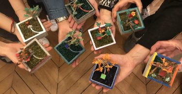 atelier créatif pour fabriquer un mini jardin