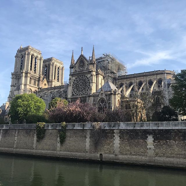 J’ai fait une pause vélo ce matin pour mieux l’observer. Je me suis dit qu’elle était toujours aussi jolie et que j’étais heureuse qu’elle soit toujoirs là. J’ai vérifié l’état des vitraux. Aucune idée de l’ampleur général mais la grande rosace de ce côté a l’air ok. J’ai songé que j’avais vraiment une mémoire de mierda parce que ce qui est parti en fumée ne me semble pas si manquant... J’ai eu des pensées pour tout cet argent qui arrive massivement et qui me rend perplexe. Je vote POUR qu’on la reconstruise d’une manière ou d’une autre (moderne ou à l’identique, hein @vert_cerise ) mais je serais aussi pour qu’on utilise cet argent pour des projets aidant les humains dans le besoin. Bref... beaucoup de réflexions pour quelques secondes de pause. Sacrée histoire d’une histoire sacrée.