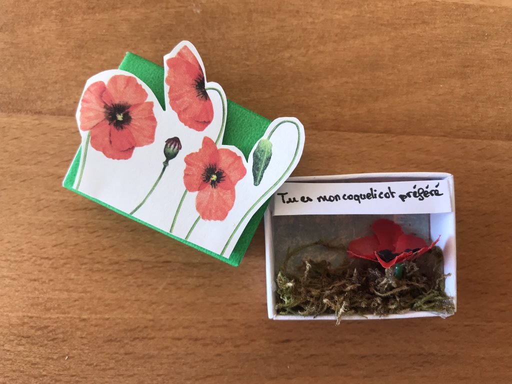 Envoyez des petites boites à message 31 Coquelicot dans une boite d'allumette