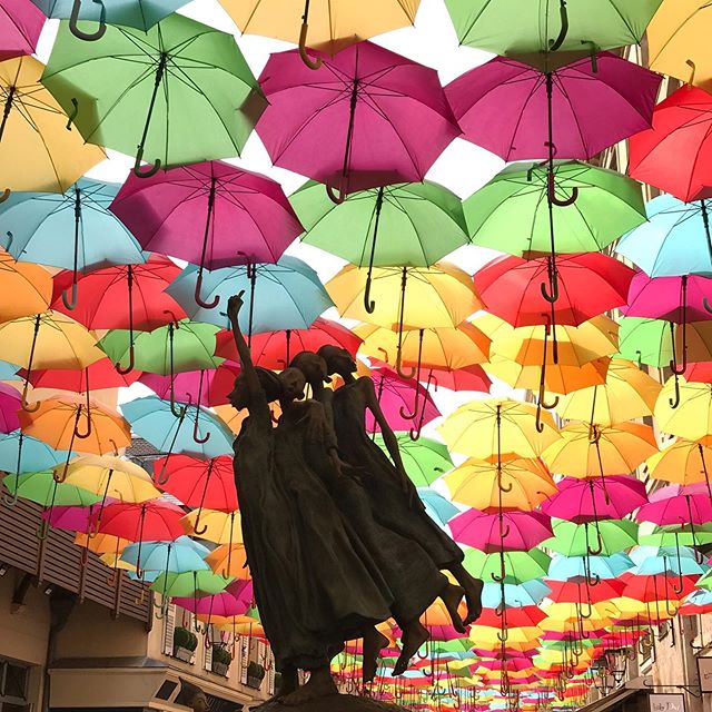 parapluies suspendus dans les rues