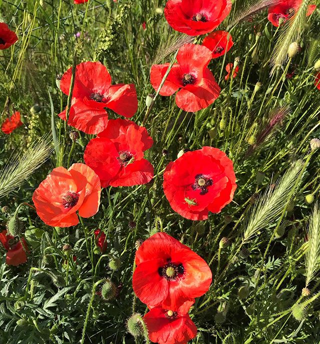 L'art de bien cadrer ses photos sur les réseaux 1 cadrage sur les réseaux sociaux