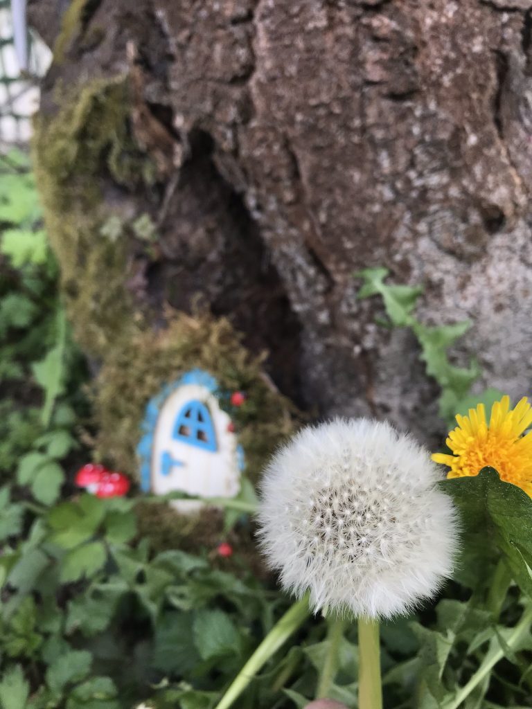 Fabriquer une mini-porte de fée pour son jardin 17 IMG 6992