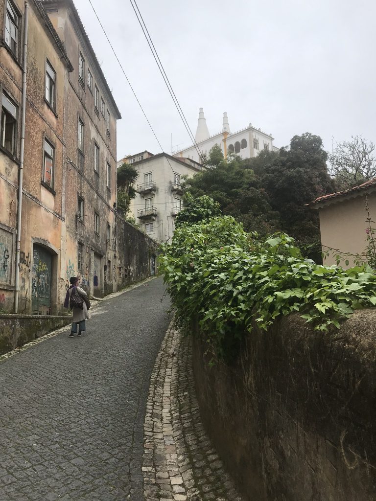 alentours de Lisbonne Sintra