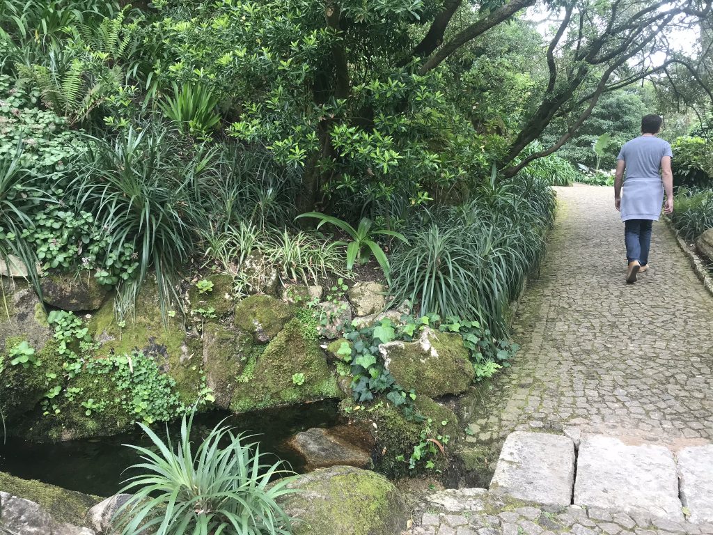 alentours de Lisbonne sintra chemin de pena