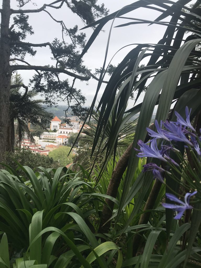 sintra chemin de pena