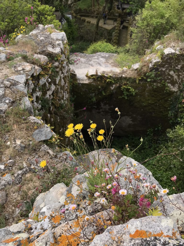 alentours de Lisbonne sintra chateau des maures