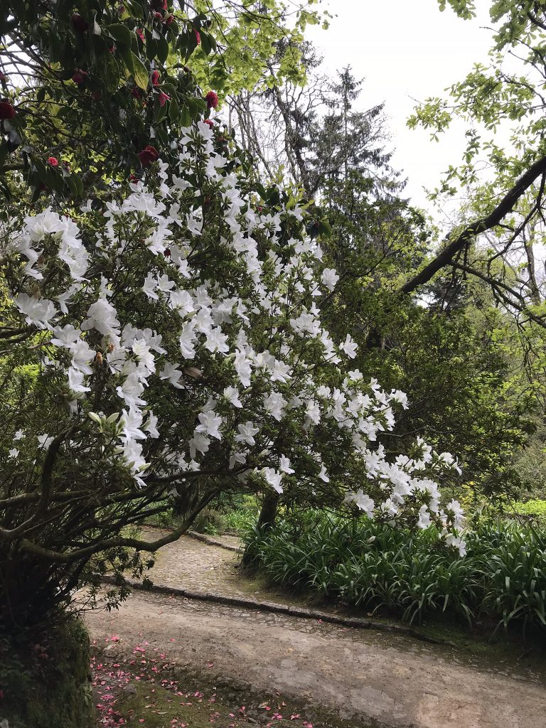 alentours de Lisbonne sintra palais de pena