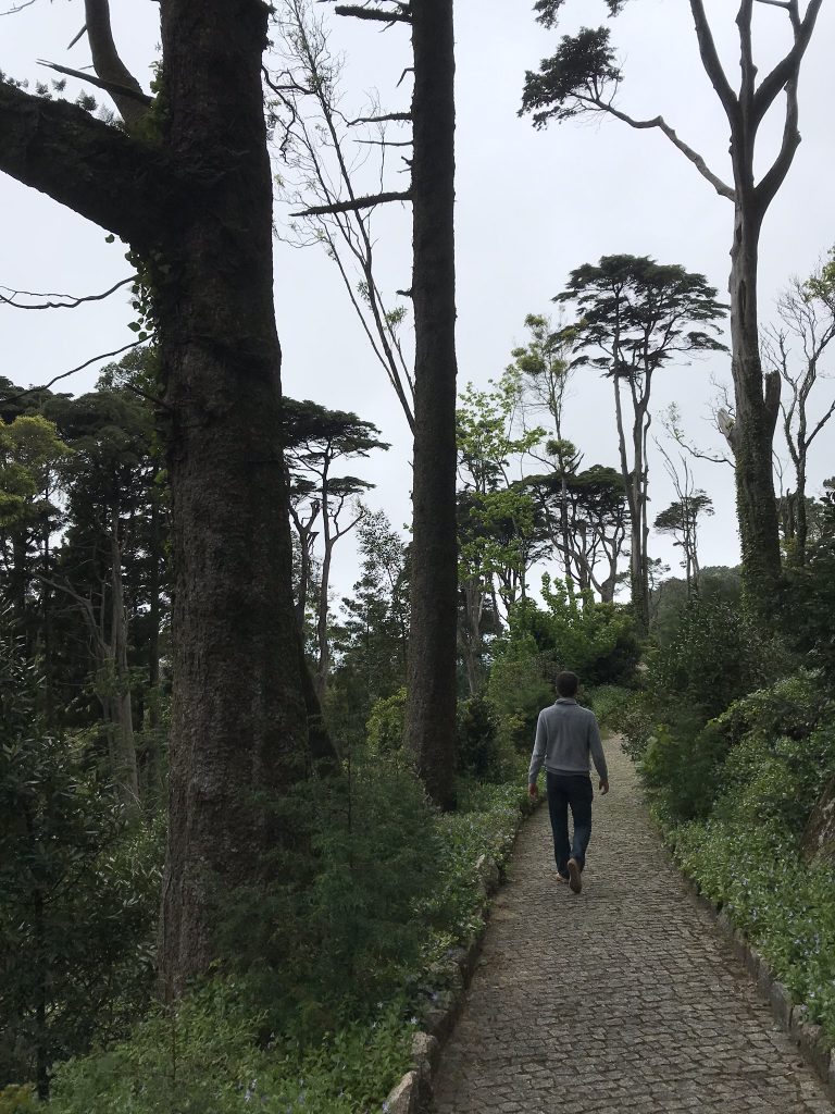 alentours de Lisbonne sintra palais de pena