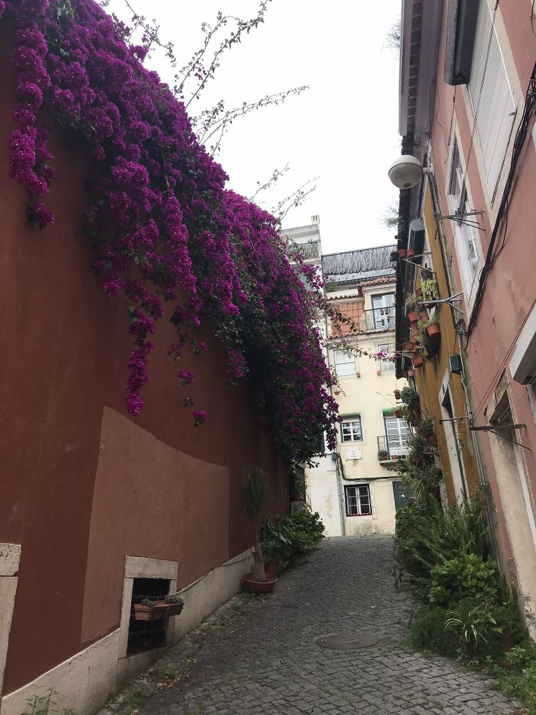 alentours de lisbonne quartier de bellem